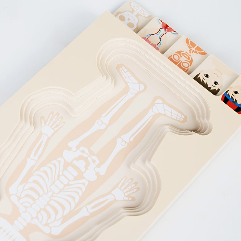 Layered Wooden Human Body Puzzle – Multi-Level Anatomy Learning Toy - Kid Zone