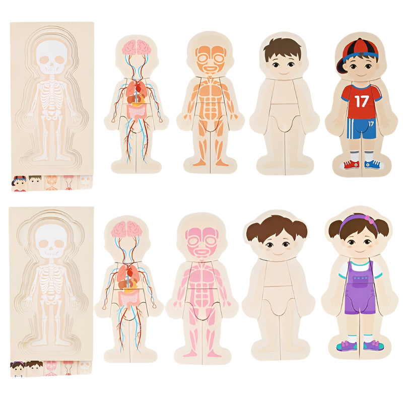 Layered Wooden Human Body Puzzle – Multi-Level Anatomy Learning Toy - Kid Zone