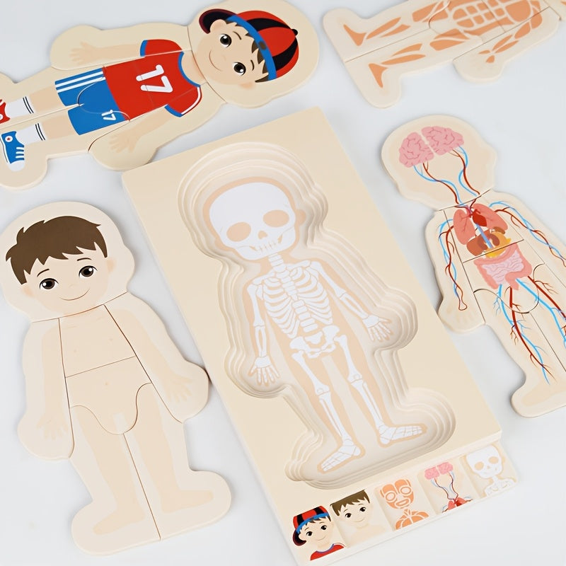 Layered Wooden Human Body Puzzle – Multi-Level Anatomy Learning Toy - Kid Zone