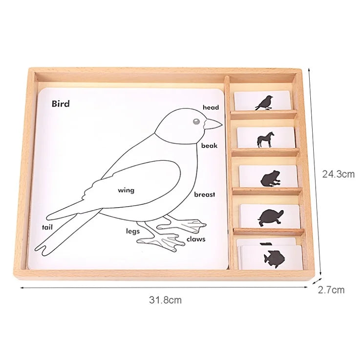 Montessori Botany & Animals Puzzle Card Set – Educational Science Learning Toy for Kids - Kid Zone