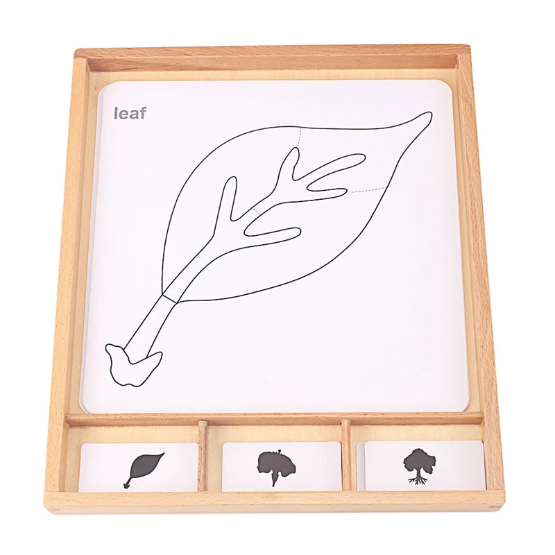 Montessori Botany & Animals Puzzle Card Set – Educational Science Learning Toy for Kids - Kid Zone