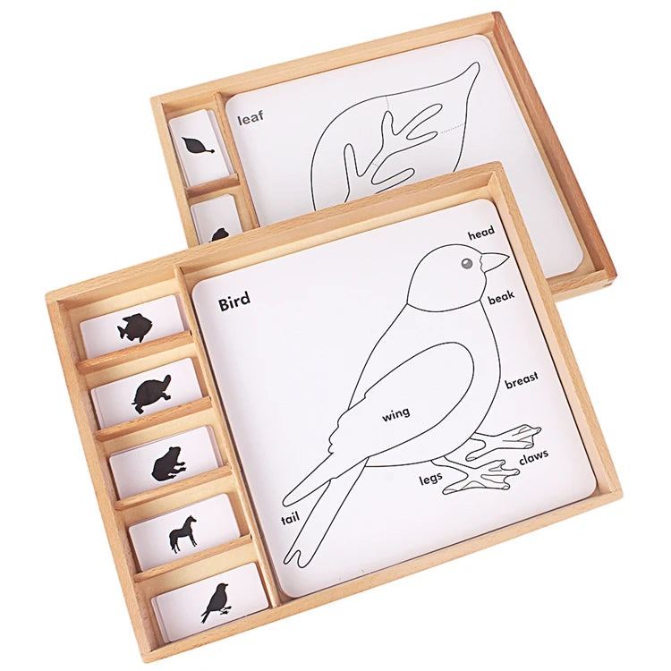 Montessori Botany & Animals Puzzle Card Set – Educational Science Learning Toy for Kids - Kid Zone