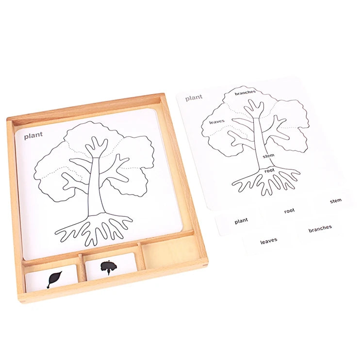 Montessori Botany & Animals Puzzle Card Set – Educational Science Learning Toy for Kids - Kid Zone