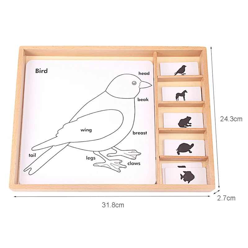 Montessori Botany & Animals Puzzle Card Set – Educational Science Learning Toy for Kids - Kid Zone