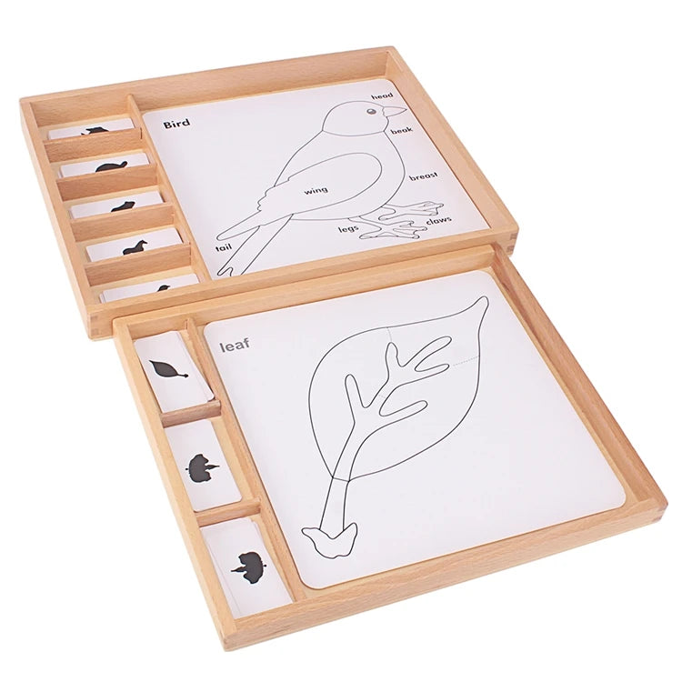 Montessori Botany & Animals Puzzle Card Set – Educational Science Learning Toy for Kids - Kid Zone