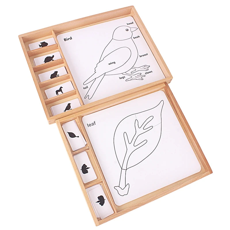 Montessori Botany & Animals Puzzle Card Set – Educational Science Learning Toy for Kids - Kid Zone