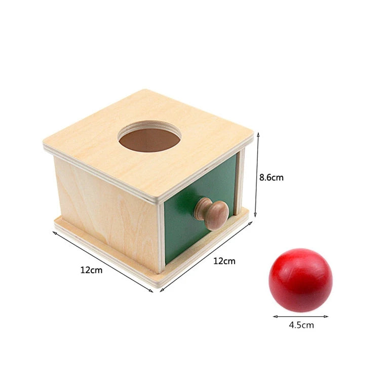 Montessori Ball & Coin Box Set – Wooden Fine Motor Learning Toy for Babies and Toddlers - Kid Zone