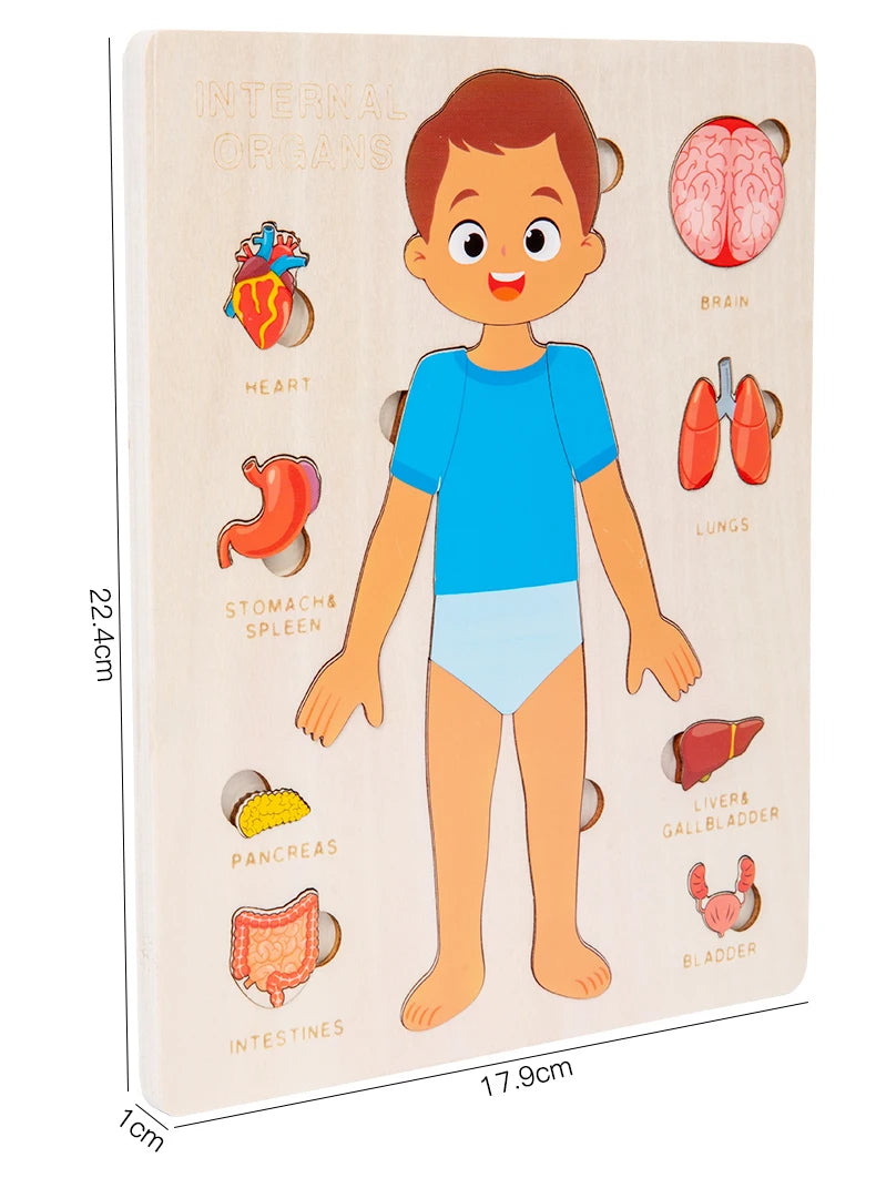 Montessori Wooden Puzzle for Kids – Early Learning Educational Toy - Kid Zone