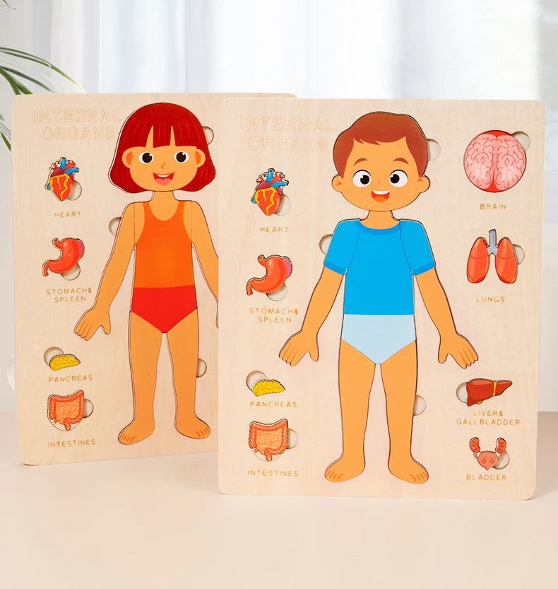 Montessori Wooden Puzzle for Kids – Early Learning Educational Toy - Kid Zone