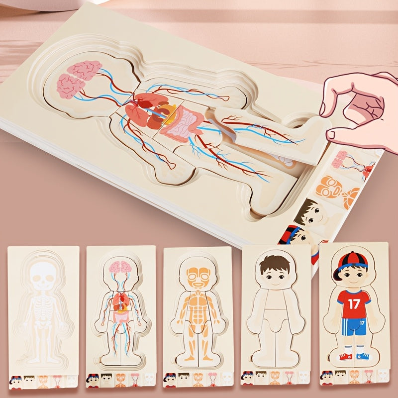 Layered Wooden Human Body Puzzle – Multi-Level Anatomy Learning Toy - Kid Zone