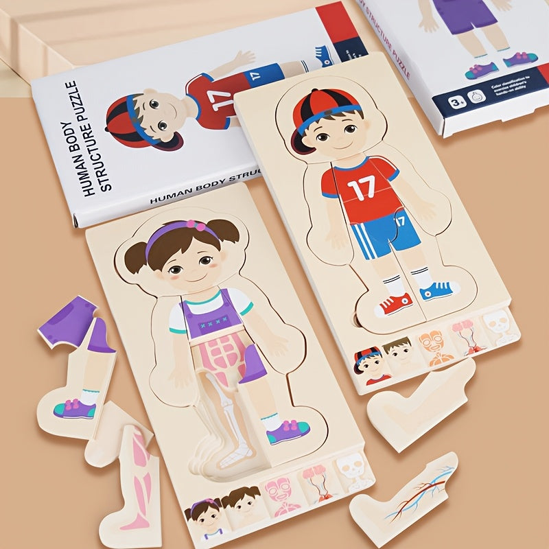 Layered Wooden Human Body Puzzle – Multi-Level Anatomy Learning Toy - Kid Zone